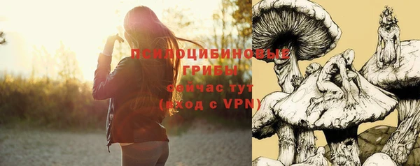 mix Алексин